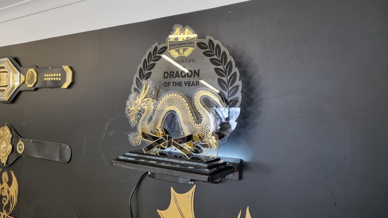 Illuminated acrylic dragon sign
